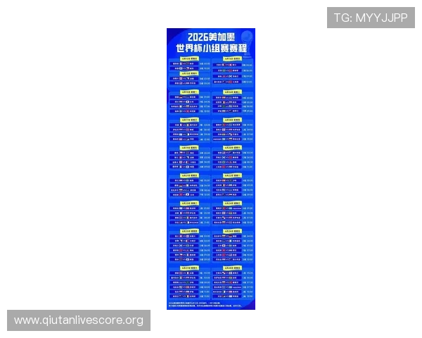 2026年美加墨世界杯已出线球队最新排名与晋级分析报告